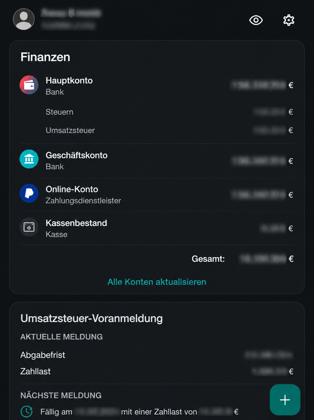 Anonymisierte mobile Finanzübersicht in einer Buchhaltungssoftware für kleine Dienstleister